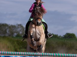 IMG_5637_web